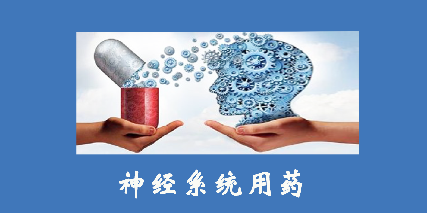 神經(jīng)系統(tǒng)