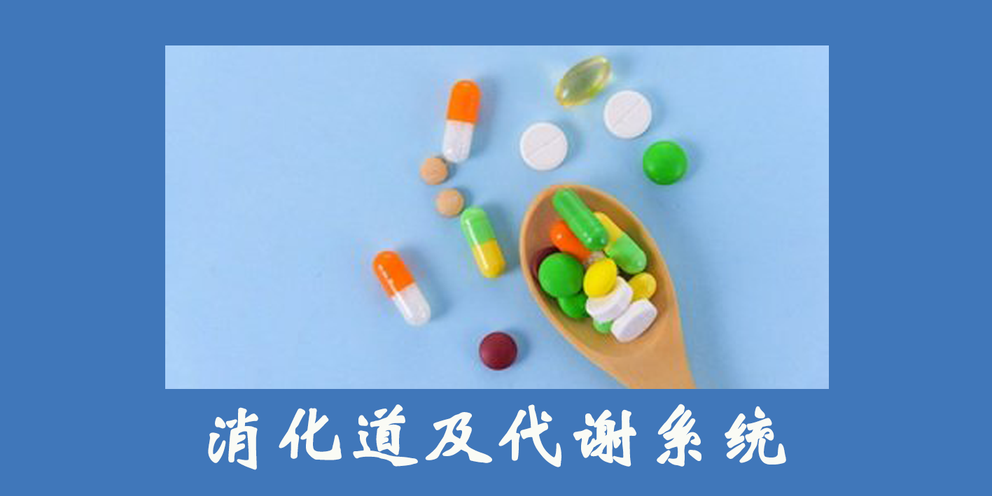 消化道及代謝系統(tǒng)