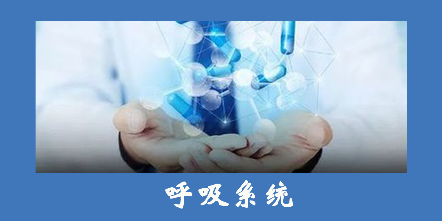 呼吸系統(tǒng)