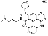 馬來酸阿法替尼.jpg